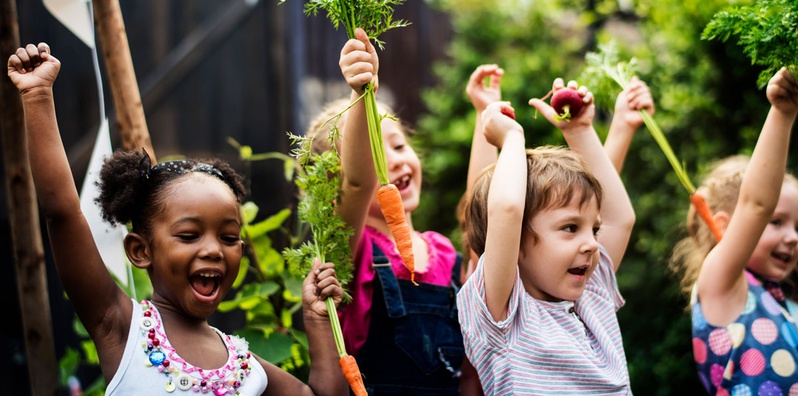 Live Discussion on Picky Eating – Food and Fun Beyond the Plate  class image
