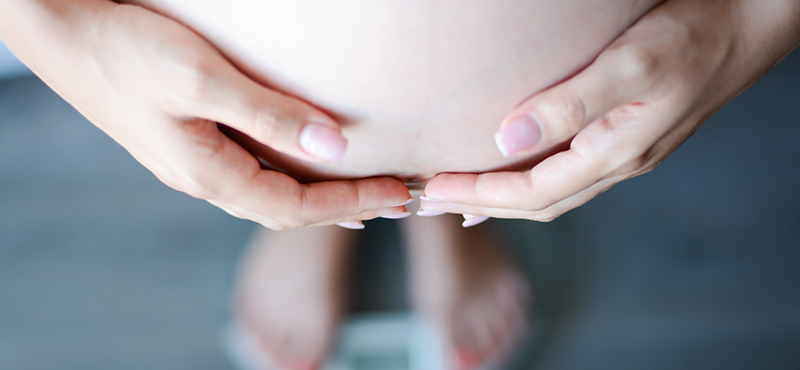 See where the new pounds go.